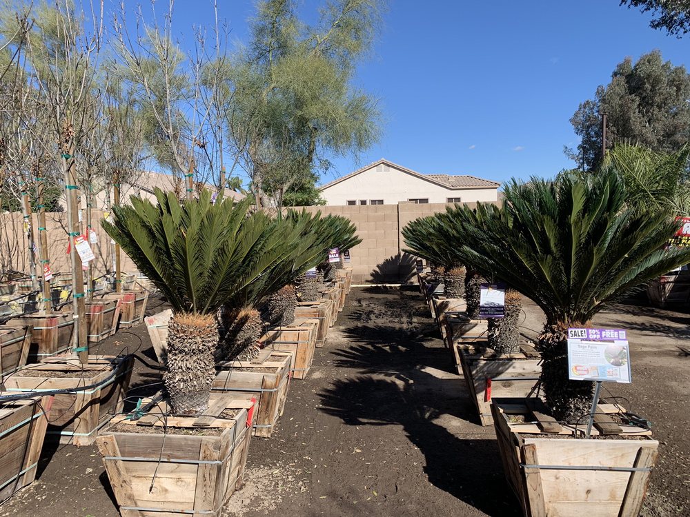 Moon Valley Nurseries 18047 N Tatum Blvd Phoenix Az 85032