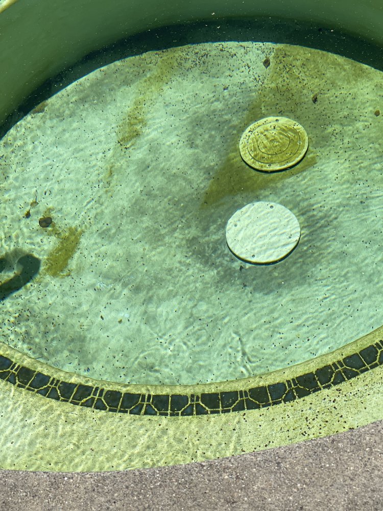 Northern Oasis Pool Services