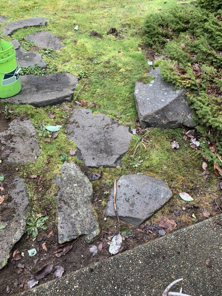 Morgan's Lawn Service