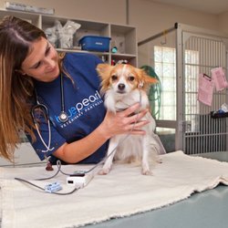 Bluepearl Sandy Springs 25 Photos 140 Reviews Emergency Pet Photo Of Bluepearl Sandy Springs Atlanta Ga United States