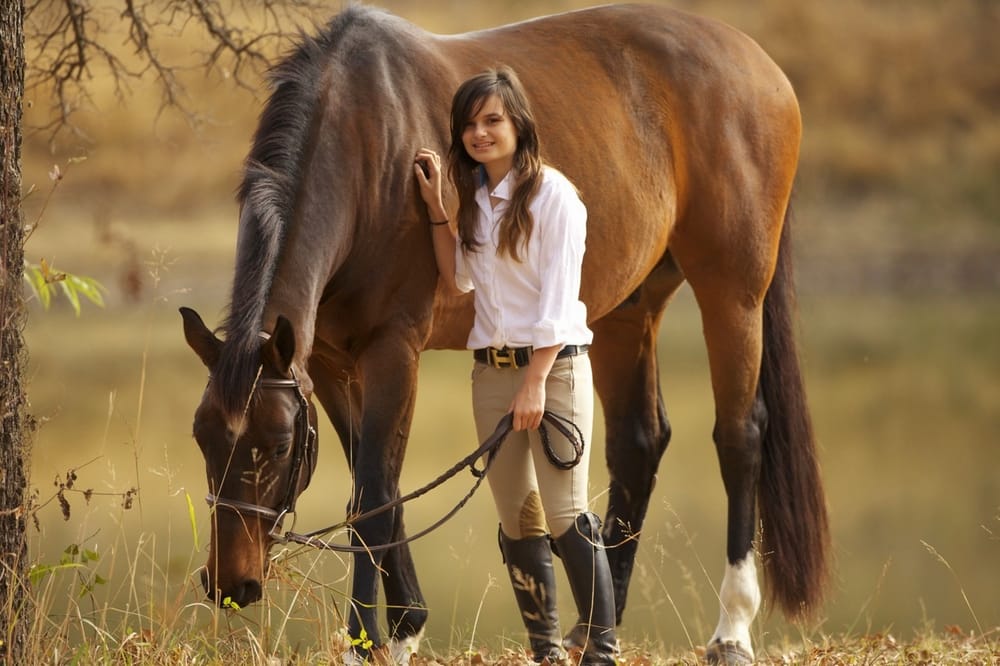 Hidden Brook Farm Get Quote Horseback Riding 3701 Post Oak Rd