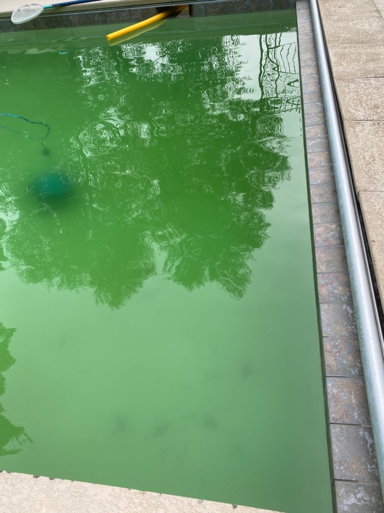 Chandler Pools and Spas