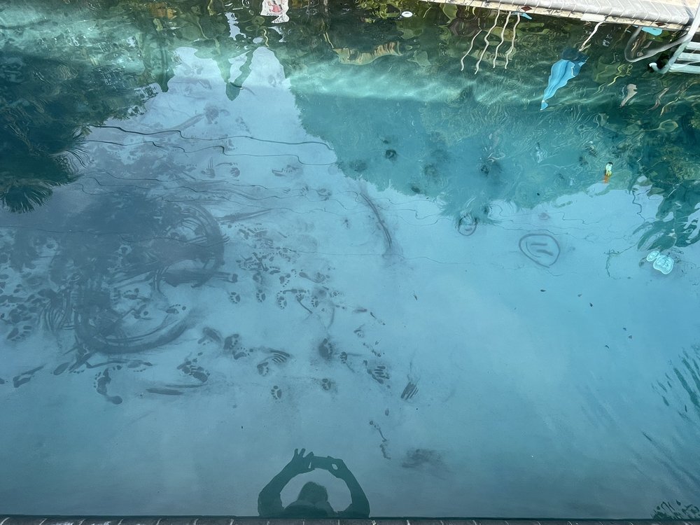Cf Pools Spas & Water Features