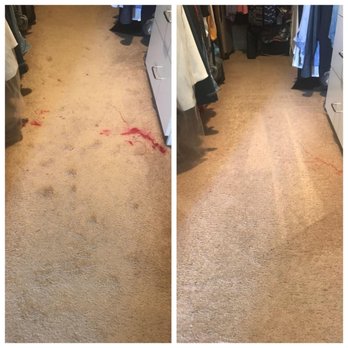 Los Angeles Carpet Cleaning 254 Photos 421 Reviews Photo Of Los Angeles Carpet Cleaning Van Nuys Ca United States Before
