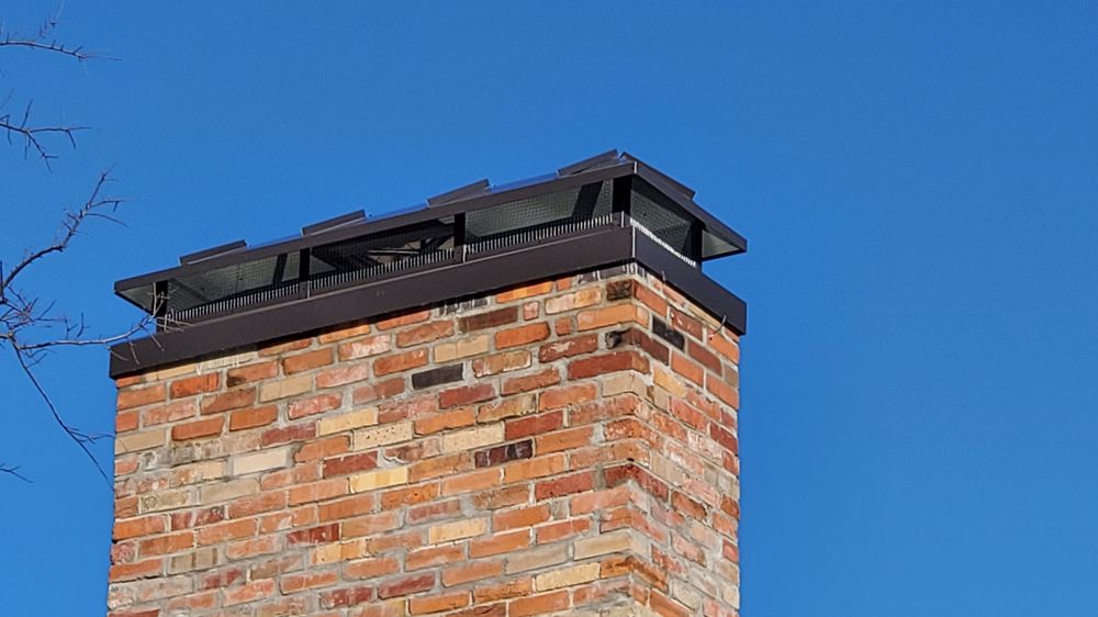 Chimney and Wildlife Specialists