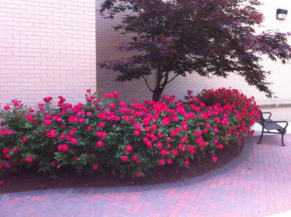 Inova Heart and Vascular Institute