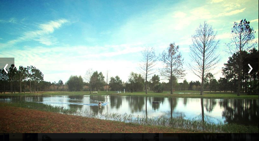 Country Village Apartments