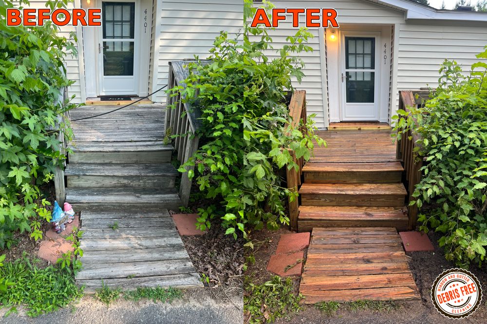 Debris Free Window & Gutter Cleaning