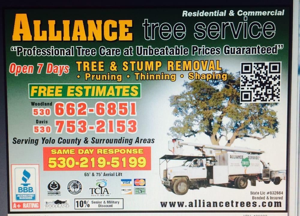 Alliance Tree Service