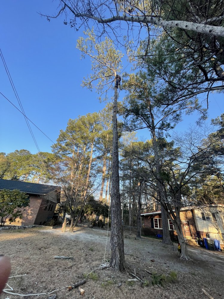 Trejo’s Trim Services