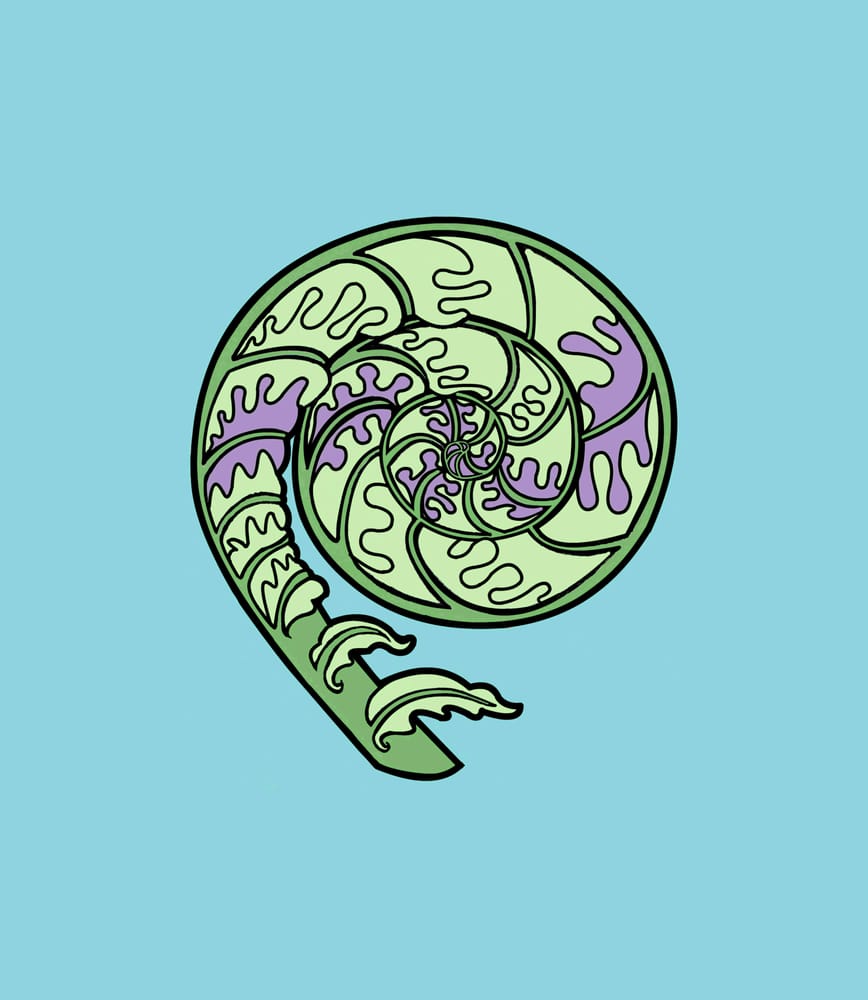 Fiddlehead Eco-Friendly Cleaning