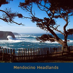 Old Gold 12 Reviews Jewelry 45090 Main St Mendocino Ca Photo Of Old Gold Mendocino Ca United States