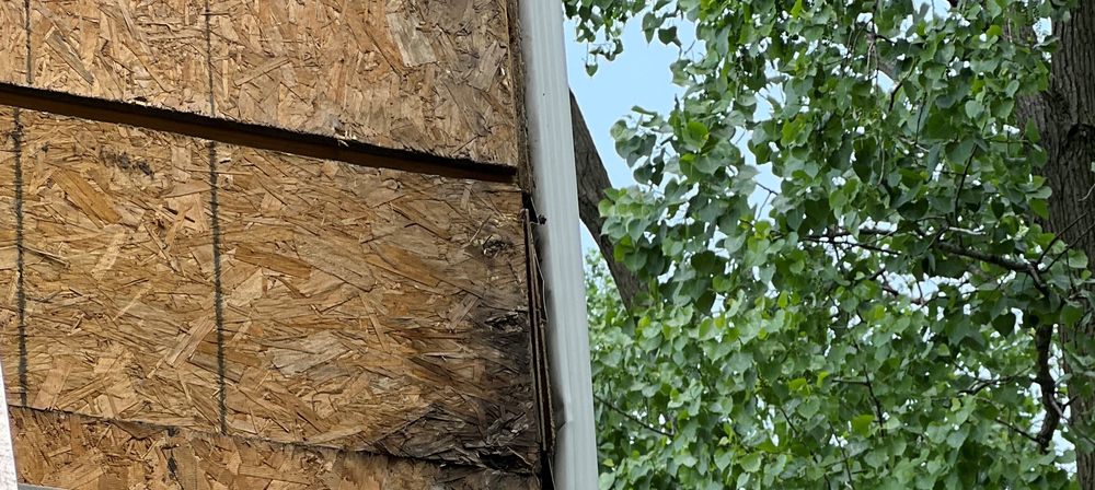 image of business Hallmark Homes