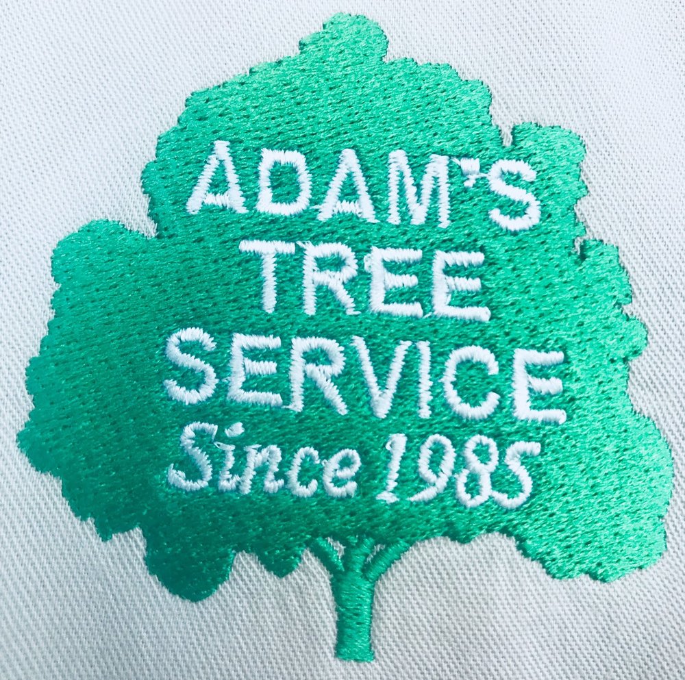 Photos For Adams Tree Service Yelp Photo Of Adams Tree Service Katy Tx United States
