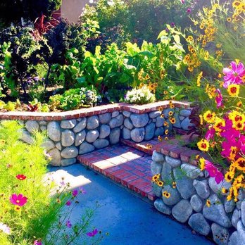 H Nursery 234 Photos 166 Reviews Nurseries Gardening Photo Of H Nursery Lakewood Ca United States My Veggie