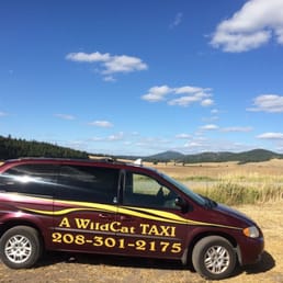 A WildCat Taxi - 11 Photos - Taxis - Moscow, ID - Phone ...