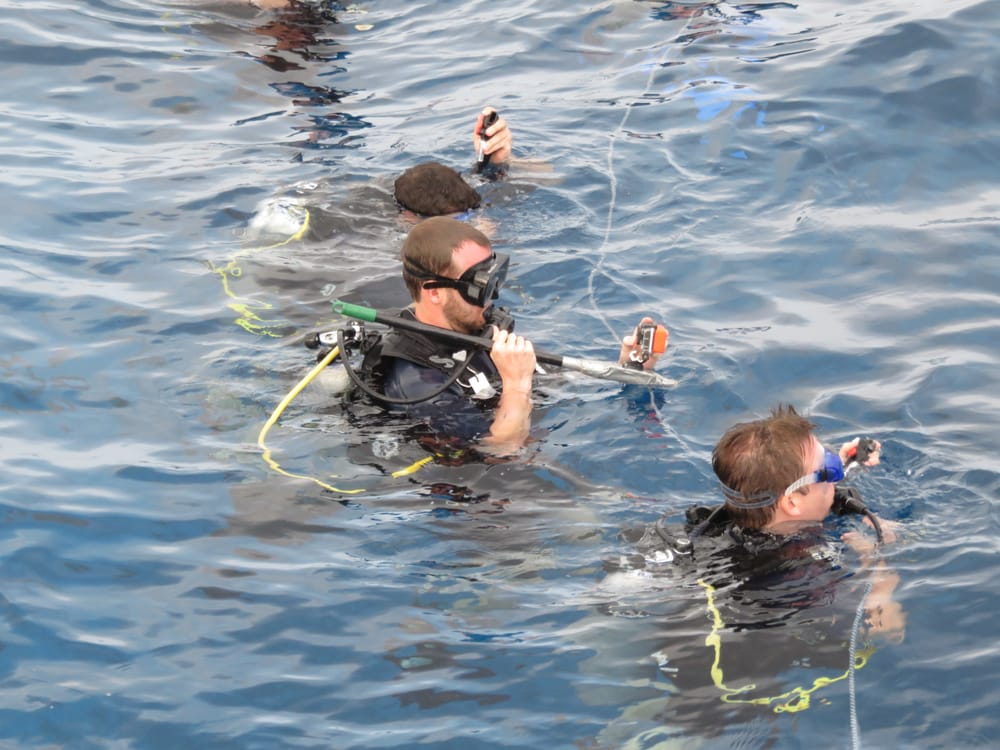 Maui Dive Shop 46 Photos & 48 Reviews Dive Shops 300 Maalaea Rd