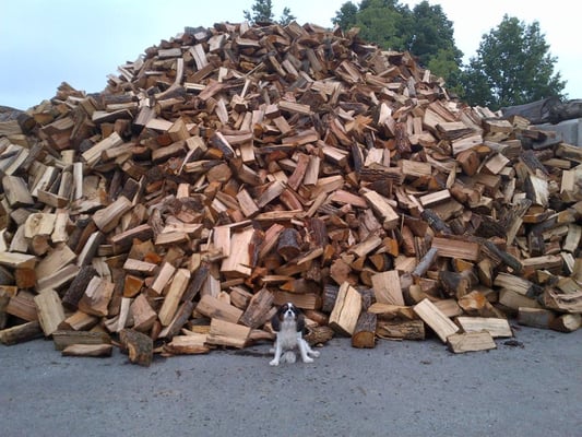 Shep S Yard Landscape Supply 405 W Pothouse Rd Phoenixville Pa Reviews