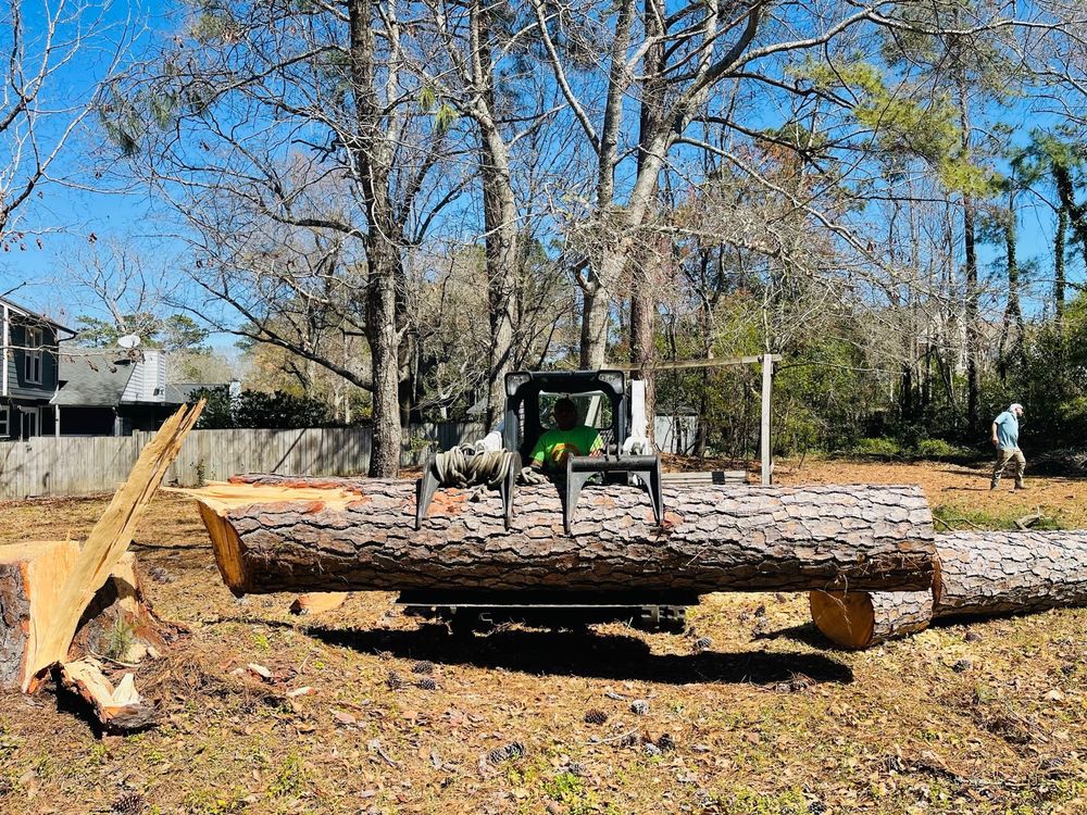 Noe C Gonzalez Tree Service