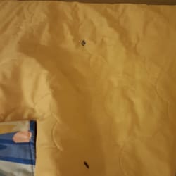 Motel 6 Hotels 2260 Elkhorn Rd Lexington Ky Phone Number Yelp Photo Of Motel 6 Lexington Ky United States Cigarette Burns In A