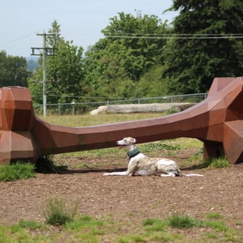 Burnaby Off Leash Dog Park Burnaby Off Leash Dog Park