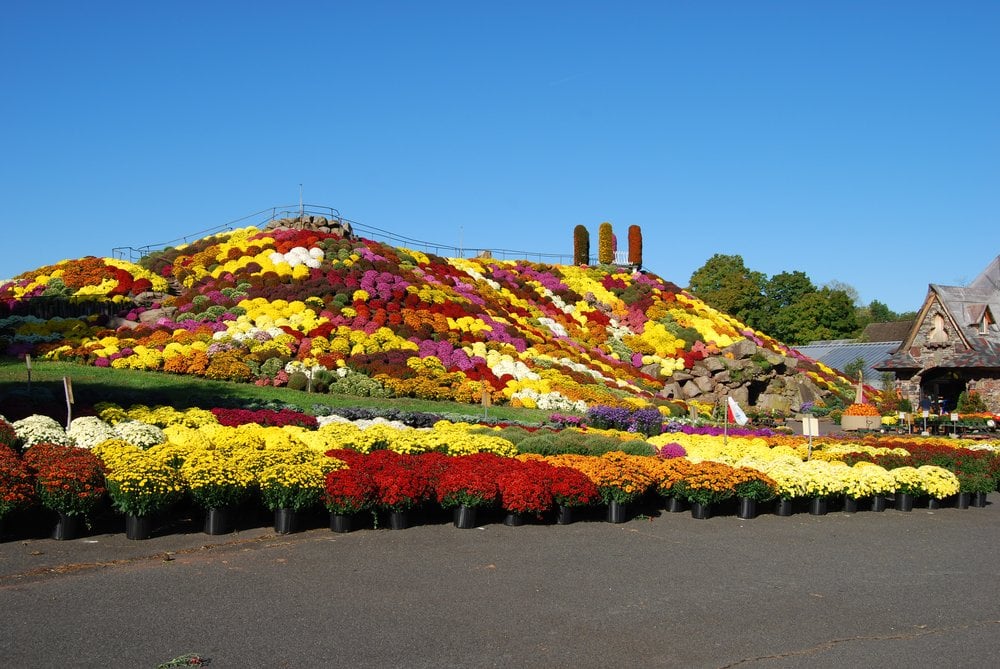 Photos for Ott�s Exotic Plants Yelp