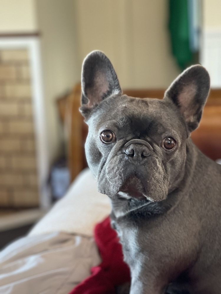 Elk Cove Inn & Spa Elk Cove Inn & Spa