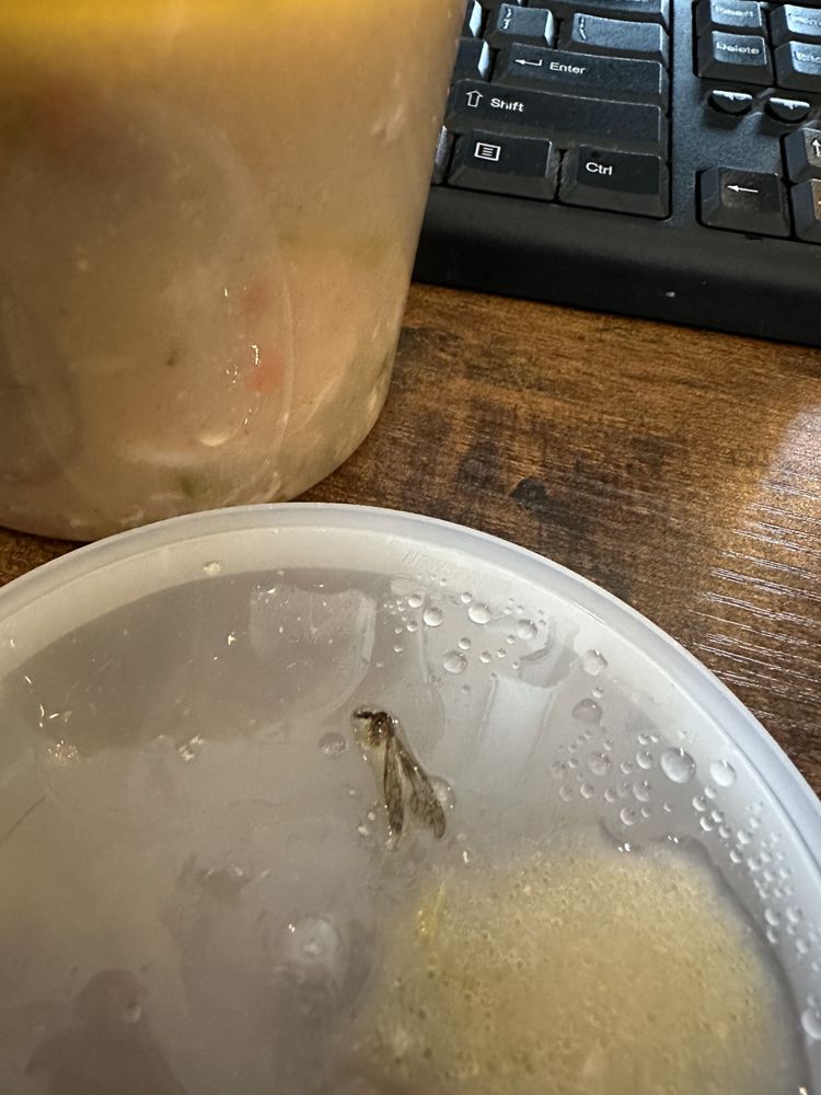 Piscis Seafood & Mexican Grill