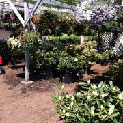 Riverside Nursery Garden Center Florist 13 Reviews Florists Photo Of Riverside Nursery Garden Center Florist Collinsville Ct United States