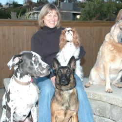 puppy perfectors the puppy perfectors husdjurskurser 9629 17th ave sw white center seattle wa puppy perfectors the puppy perfectors husdjurskurser 9629 17th ave sw white center seattle wa