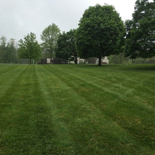 A.I.R Lawn Care
