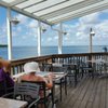 Old Salty Dog
