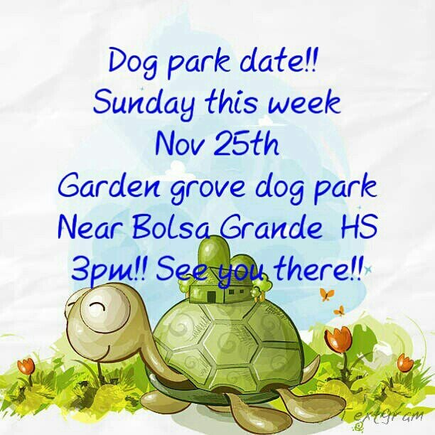 Garden Grove Dog Park Garden Grove Ca Garden Grove Dog Park Garden Grove Ca