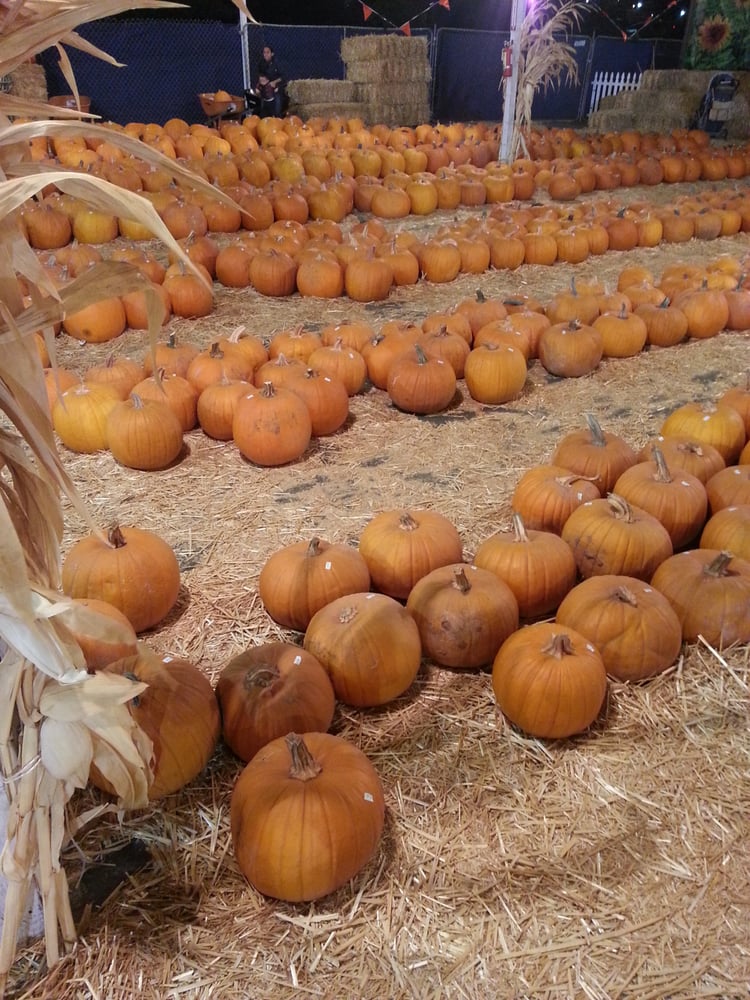 Pumpkin station chula vista coupon