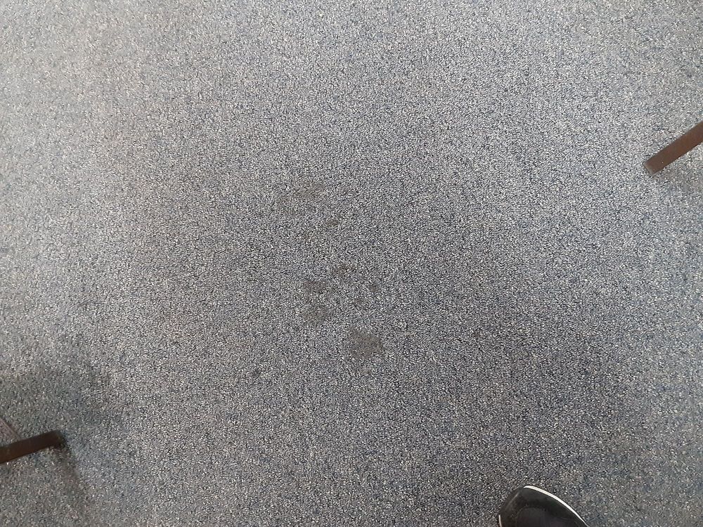 Myriad Carpet Cleaning Service