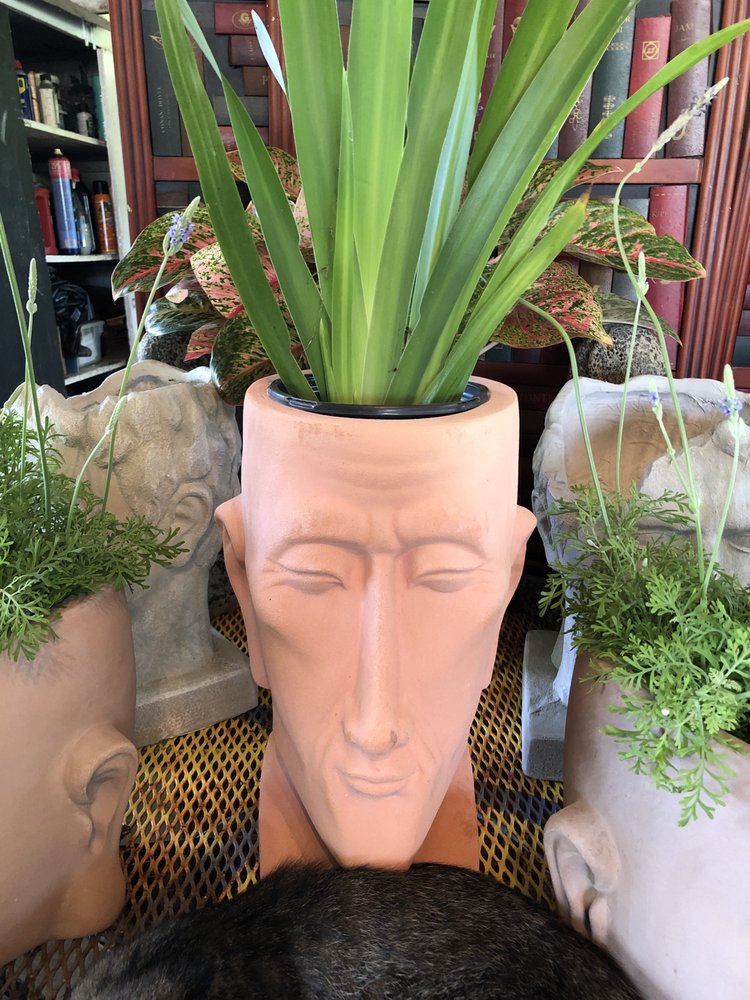 BB's Tumbleweeds Garden Center