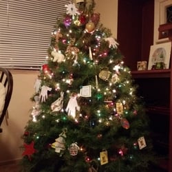 northern lights christmas tree farm 15 photos northern lights christmas tree farm 15 photos