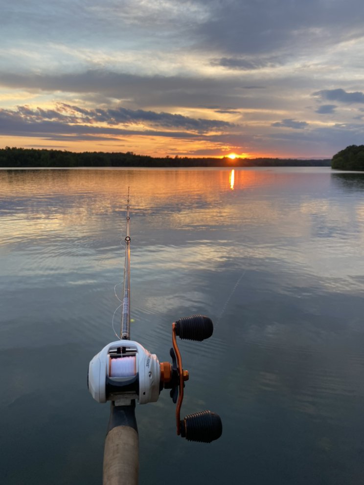 Cole's Baitshop & Kayak Rental