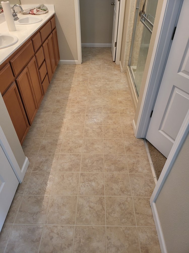 Carpenter's Steam Cleaning