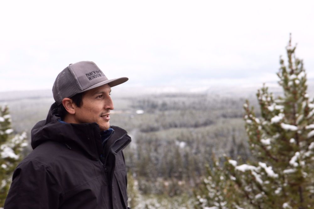 Pane'N The Glass Window Cleaning