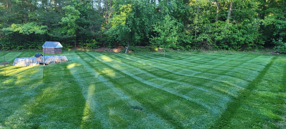 Steve's Lawn Services