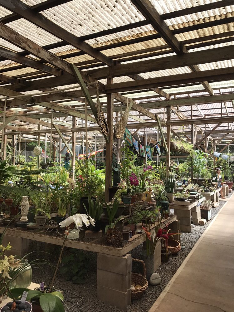Sacred Garden of Maliko 79 Photos & 22 Reviews Nurseries