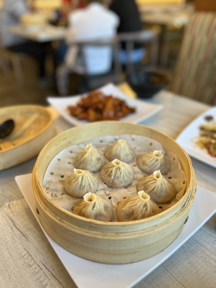 Noodles & Dumplings