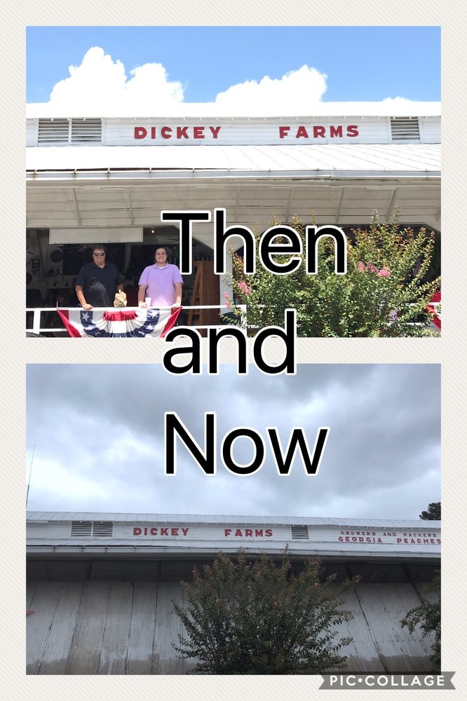 Dickey Farms 26 Photos & 19 Reviews Farmers Market 3440 Musella