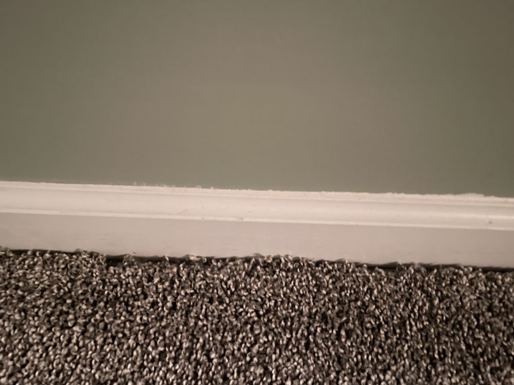 New Finish Carpet Care