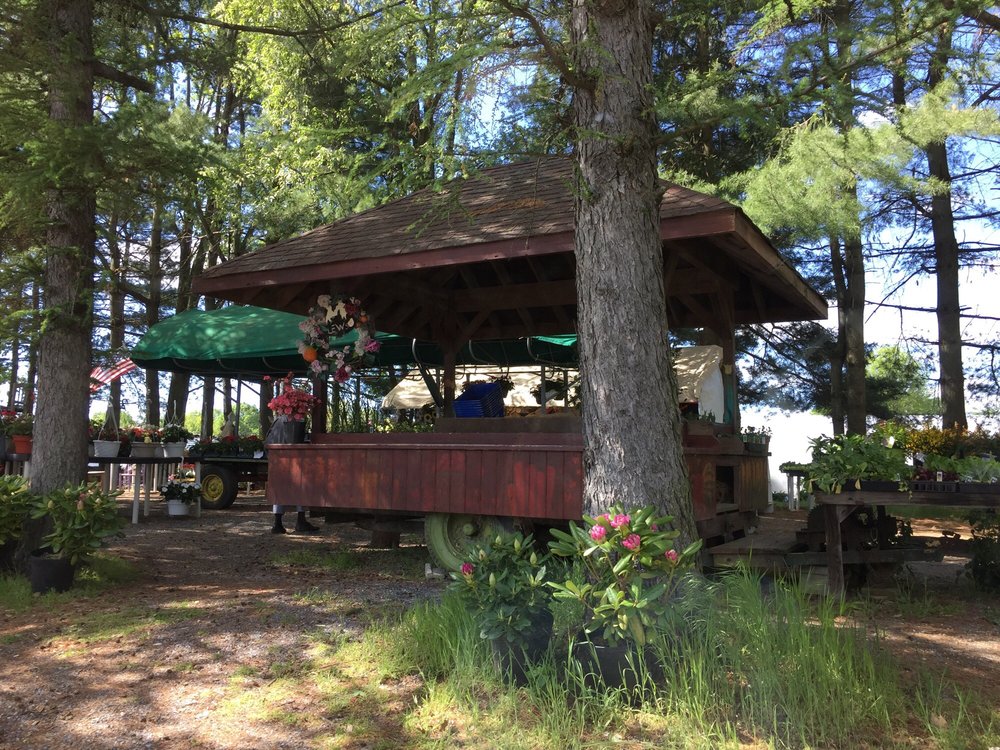 Lew’s Farm Market Grocery 864 N Lenola Rd, Moorestown, NJ Phone