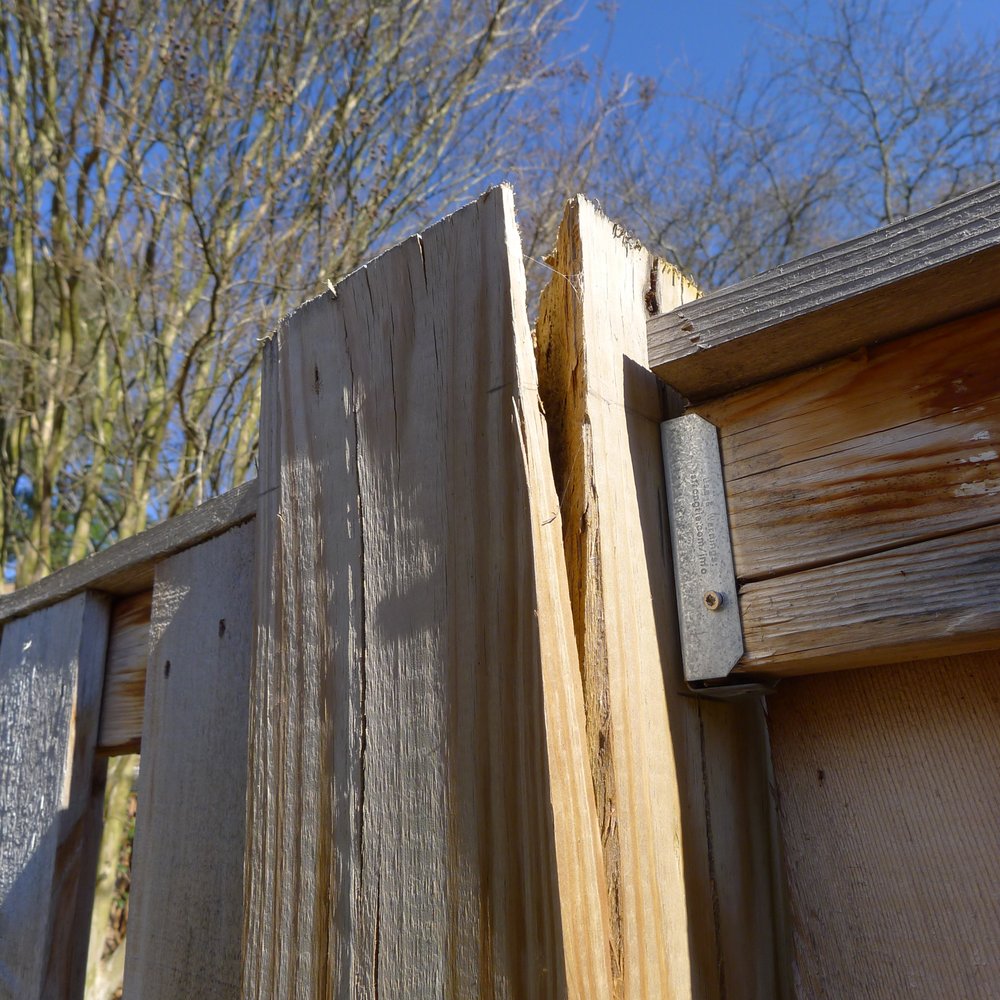 Lion's Fence
