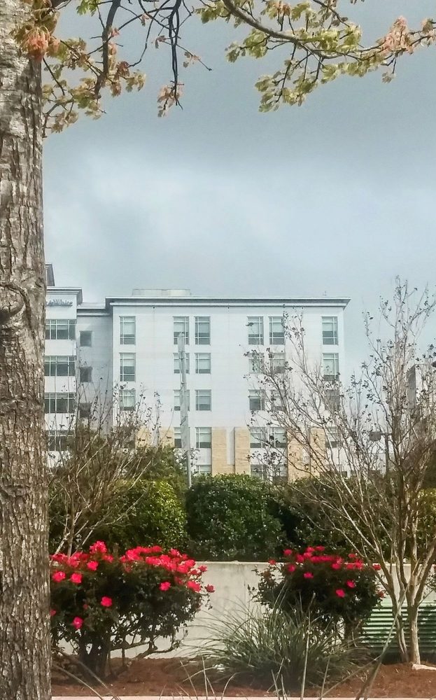 Baylor Scott & White Medical Center - Temple