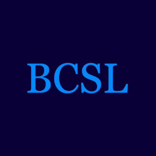 image of business Blue Castle Systems