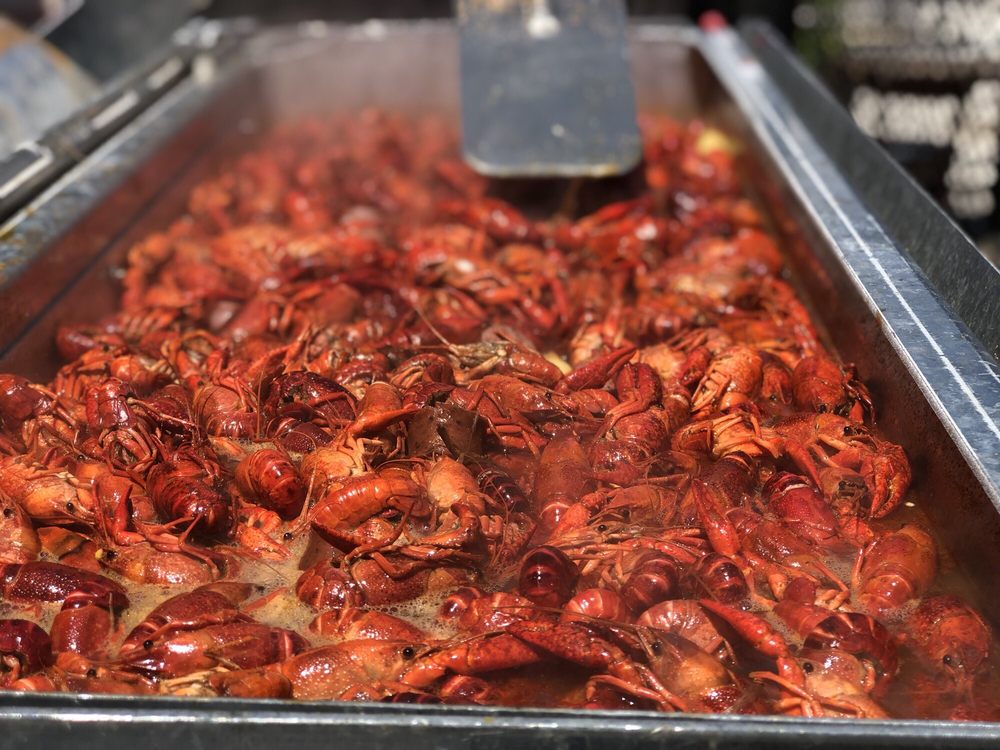 Bentley’s Bar 51 Photos & 35 Reviews Bars 8123 Broadway, San Antonio, TX Restaurant